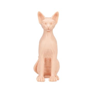A Pound of Flesh Sphynx Nøgen kat